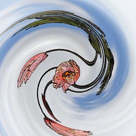 Dancing poppy in the wind by Jose Lok