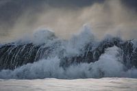 Surf