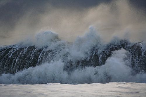 Surf