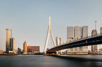 Erasmus Bridge, Rotterdam van Lorena Cirstea