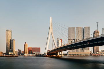 Erasmus Bridge, Rotterdam sur Lorena Cirstea