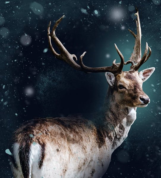 Le cerf en hiver par Pix-Art By Naomi.k
