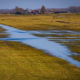 Paysage des polders néerlandais sur Anita van Gendt