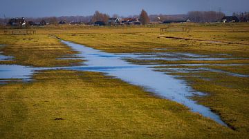 Nederlands polder landschap van Anita van Gendt