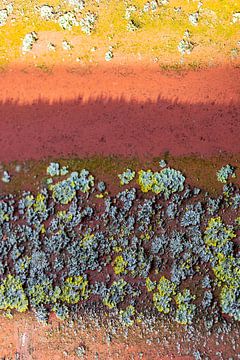abstract grown landscape 3 by Aafke Buitelaar