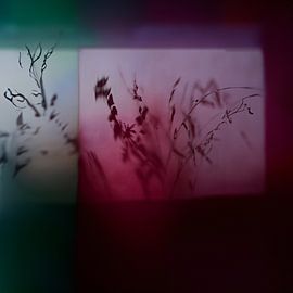 Silueta Botánica - Botanical Silhouette - in red, purple, green - plant silhouette