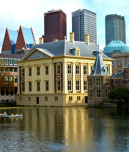 Mauritshuis Den Haag van Erwin Reinders