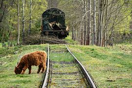 Alltag Landschaft im Erzgebirge von Johnny Flash