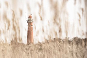 Red North Lighthouse Schiermonnikoog by Ron van der Stappen