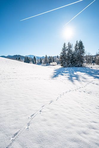 Winteruitzicht vanaf Sinswanger Moos bij Oberstaufen met uitzicht op de Hochgrat
