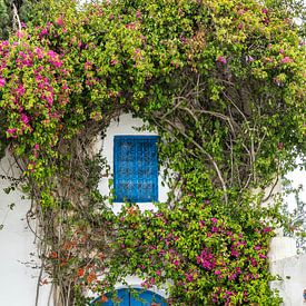 Deur met planten in Sidi Bou Said (Tunesië) van Jessica Lokker