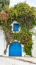 Deur met planten in Sidi Bou Said (Tunesië) van Jessica Lokker thumbnail