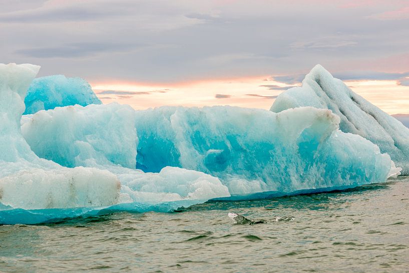 IJsschotsen in ijsmeerJökulsárlón in IJsland van Hein Fleuren