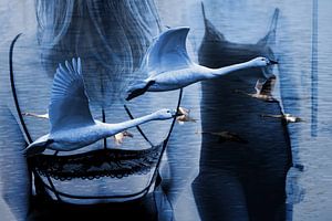 Fliegen