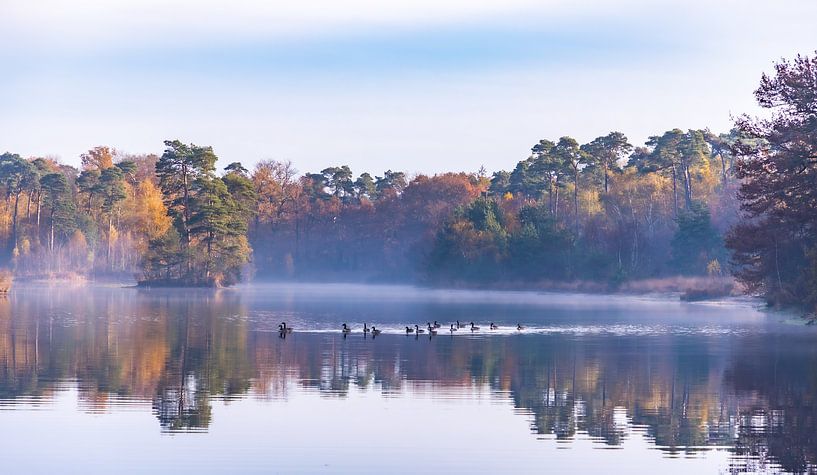Autumn at the van Esschenven by Jacky Keeris