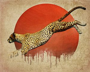 Klimawandel - Gepard Auf Der Flucht