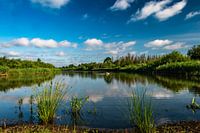 reflections