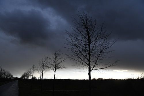 Juste avant la grêle