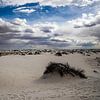 White Sands National Monument van Jasper Verolme