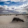 Monument national de White Sands sur Jasper Verolme