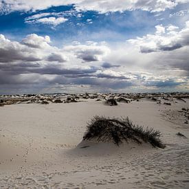 Monument national de White Sands sur Jasper Verolme
