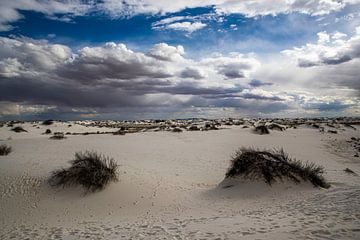 Monument national de White Sands
