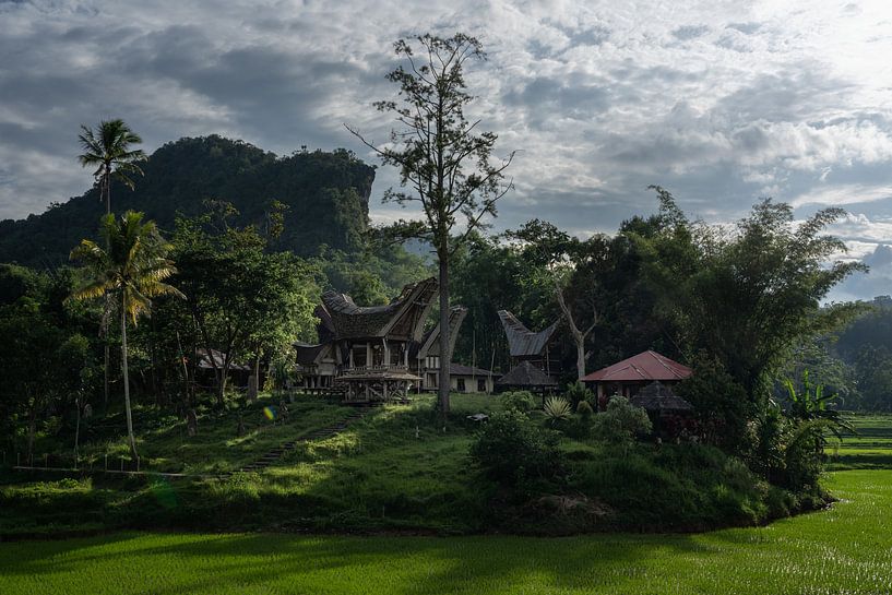 Un village traditionnel de Toraja au milieu des rizières par Anges van der Logt