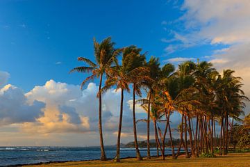 Parc de la plage de Kapaa, Kauai, Hawaii