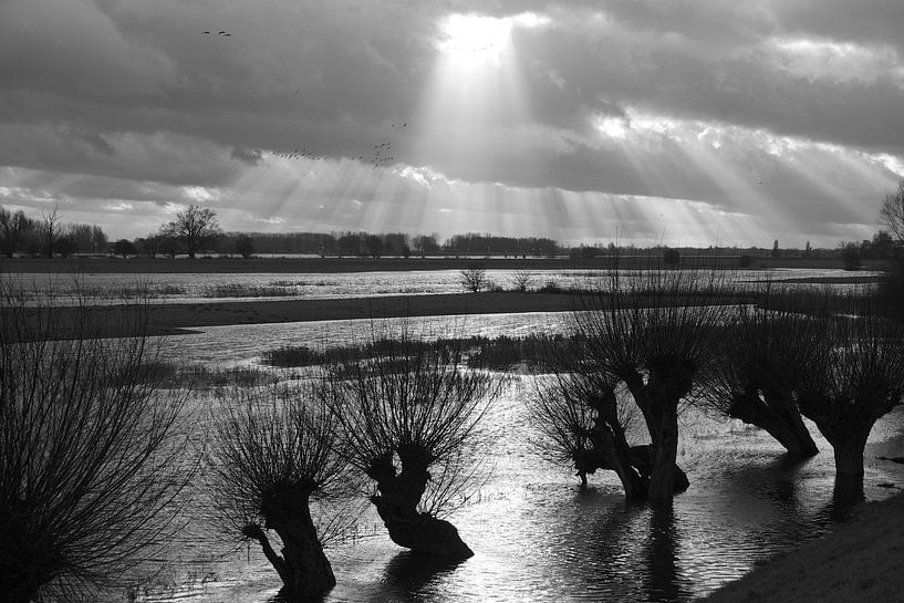 Lek, water &amp; licht 3 von Gerard Streng