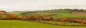 Panorama herfstkleuren in Zuid-Limburg van John Kreukniet