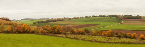 Panorama herfstkleuren in Zuid-Limburg