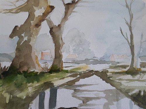 Beekje in de polder met bomen op de achtergrond.