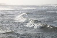 Noordzeegolven