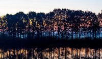 Een zonsopkomst aan het water in Drenthe 