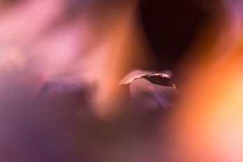 Abstrakte Herbstfarben 