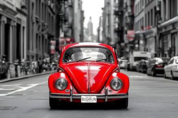 Beetle in the Big Apple