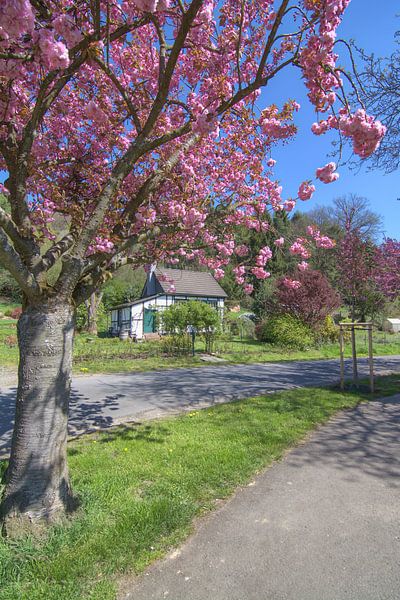 Frühling im Bergischen Land von Peter Eckert