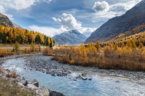 Beautiful autumn colors in the mountains of Switzerland