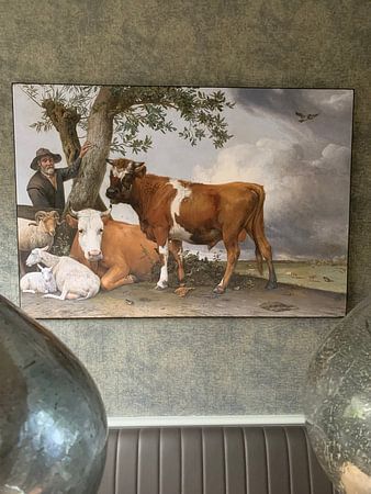 The Bull by Paulus Potter