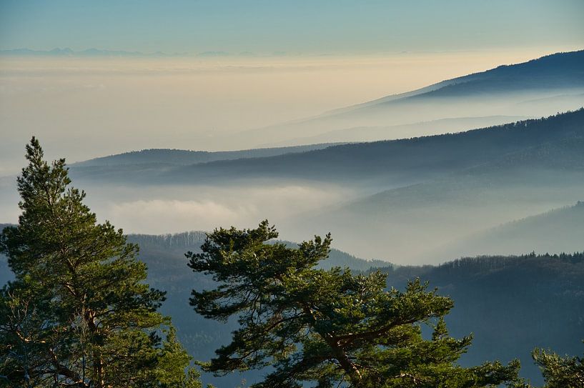 Vue sur les Vosges par Tanja Voigt