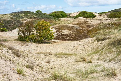 Forstamt Noordwijk mit den Dünen von eric van der eijk