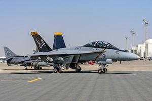 Boeing F/A-18F Super Hornet der VFA-103 Jolly Rogers.