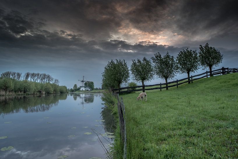 Molen de Vlinder aan rivier de Linge in de Betuwe van Moetwil en van Dijk - Fotografie