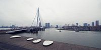 Rotterdam Rain van Bart van der Worp thumbnail
