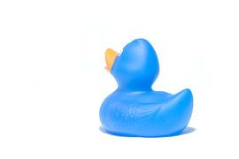 Eendje op weg naar avontuur! van Marcel Admiraal