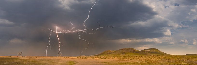 Gewitter Sturm über dem Südafrikanischen Bush von Thomas Froemmel