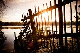 sunrise by Jonas Demeulemeester