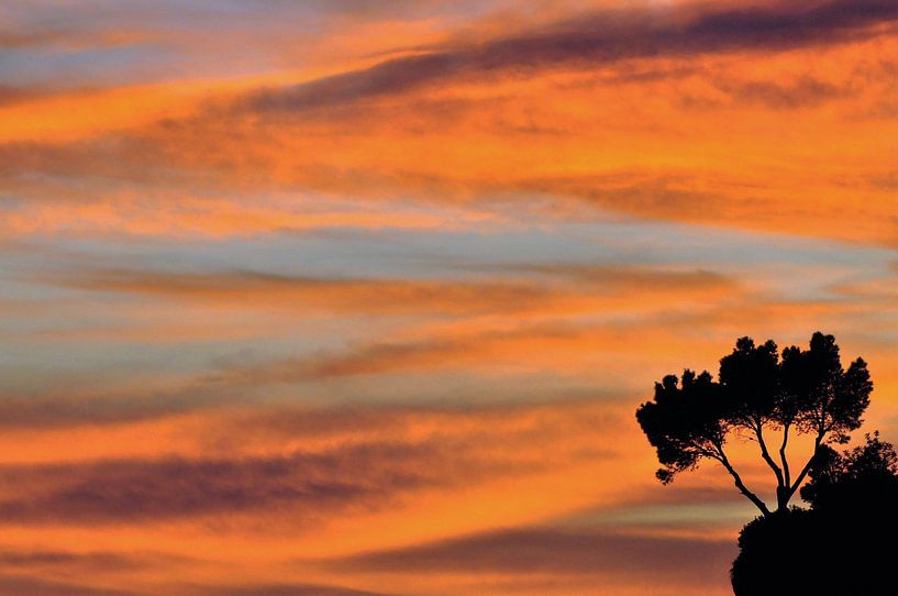 Sol de noche par Fons Hayes