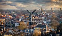Haarlem