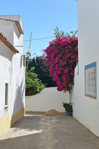 The famous ‘blue’ door framed by pink bougainvillea in Burgau